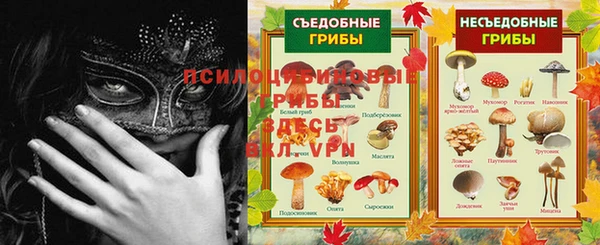 героин Алексин