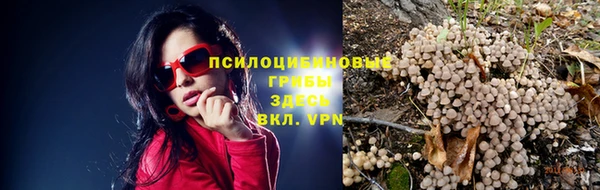 амф Алзамай
