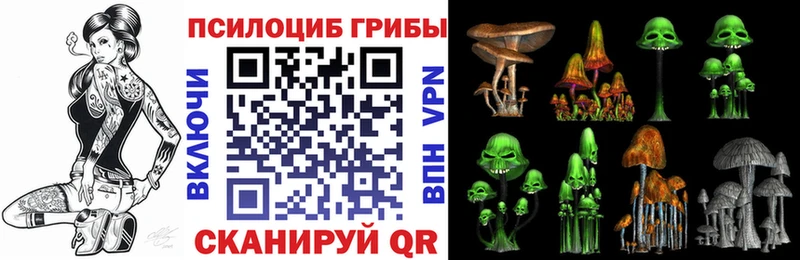Галлюциногенные грибы Psilocybine cubensis  Темрюк 