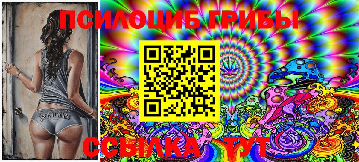 Темрюк  Галлюциногенные грибы Magic Shrooms  наркота  Вход с VPN 